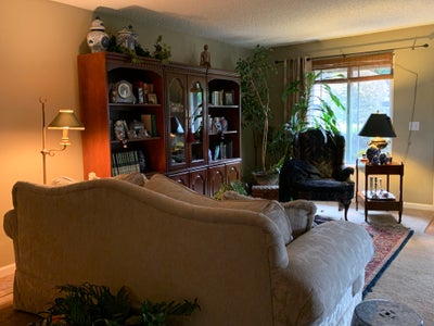 Humorous roommate needed! Main Photo