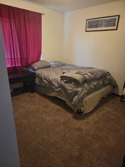 Single Room for Rent in Sandy Main Photo