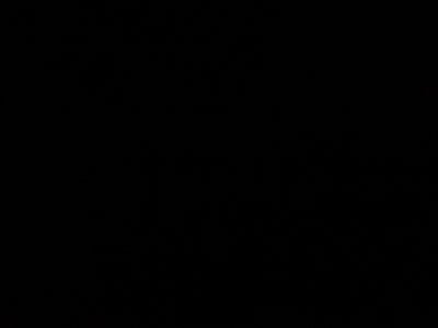 Room wanted in New York Main Photo