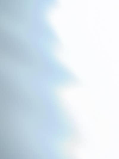 Room wanted in Seattle, WA Main Photo