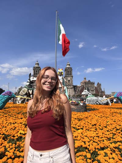 Room wanted in San Francisco Bay Area Main Photo