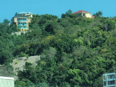 Room wanted in Brooklyn, NY Main Photo