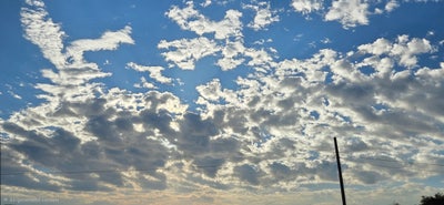 Room wanted in Los Angeles Main Photo