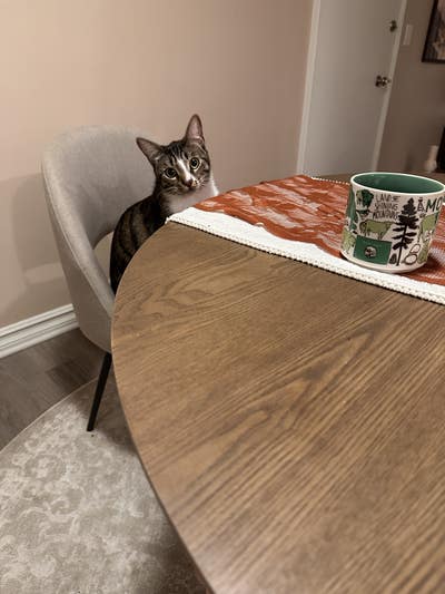 Room wanted in Los Angeles Main Photo