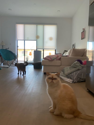 Available Master Bedroom ktown  Main Photo