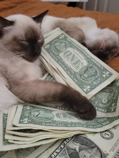 Room wanted in Aldine, TX Main Photo