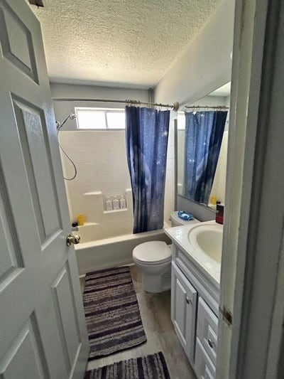 Roommates wanted  Main Photo