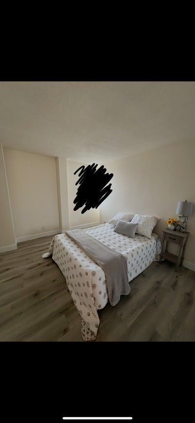 Female Roommate Needed Main Photo
