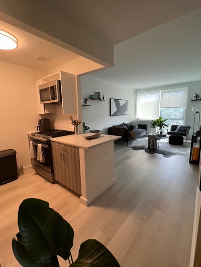 Cozy 1 bedroom in Flatbush Main Photo