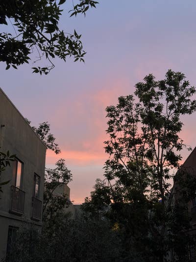 Room wanted in Pasadena, Los Angeles, CA Main Photo