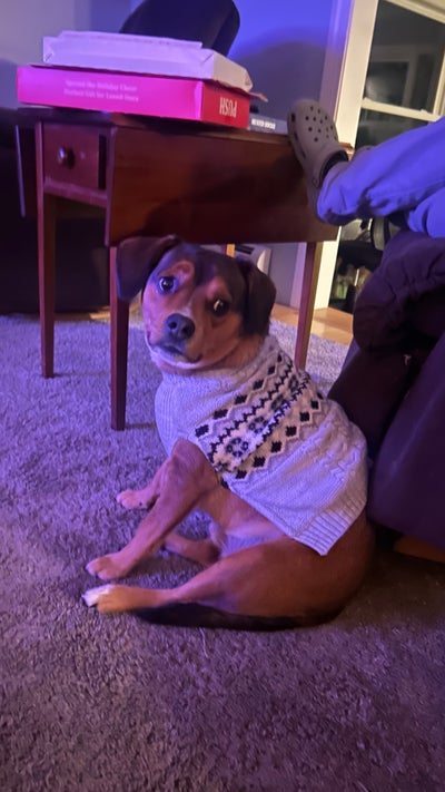 Room wanted in Norfolk, Norfolk City, VA Main Photo