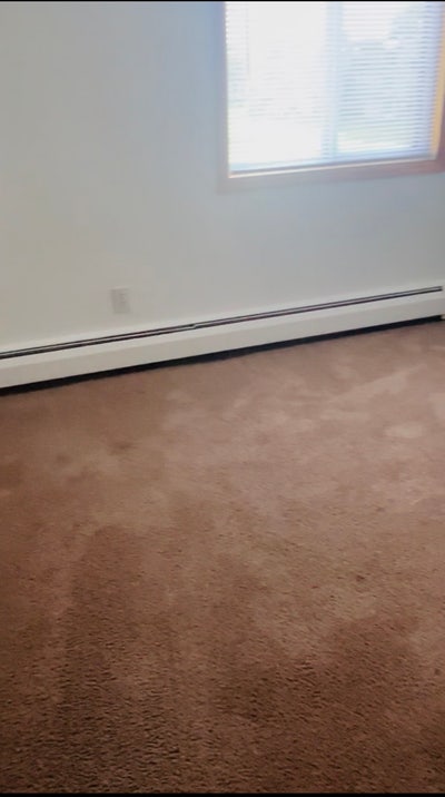 Female Roommate needed  Main Photo