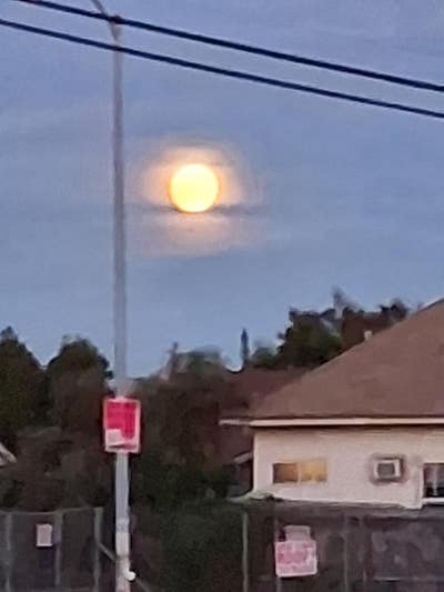 Room wanted in Los Angeles, CA Main Photo