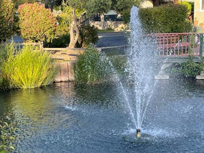 Looking for Responsible Housemate  Main Photo