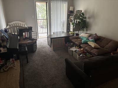 Rommate Needed For Apartment in Altamonte Main Photo