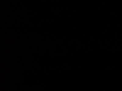 Room wanted in New Jersey Main Photo