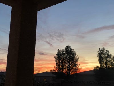 Room wanted in Las Vegas, NV Main Photo