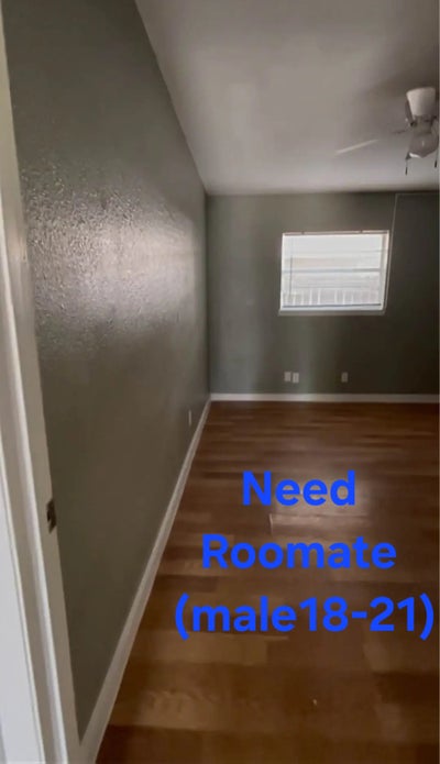 Roomate close to utrgv 50/50 male. Main Photo