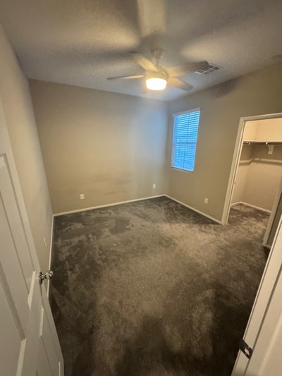 Room available  Main Photo