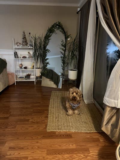 Room for Rent in Townhome in Walnut Creek  Main Photo