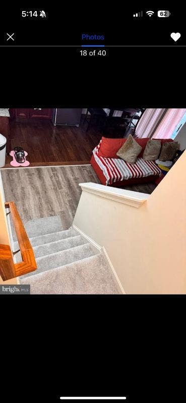 Spacious Basement available Main Photo