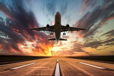 Professional looking for share in Pinellas County Main Photo