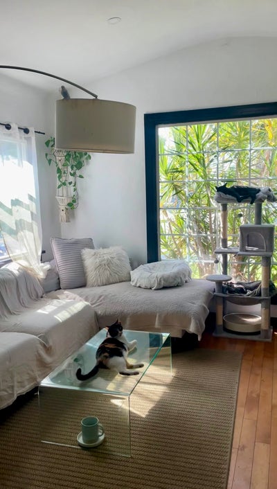 Private room + Private bath available Jan. 1! Main Photo