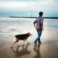 Room wanted in San Diego Main Photo