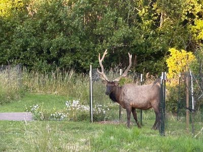 Country Cottage in Fieldbrook Main Photo