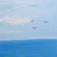 Room wanted in North Fort Worth, TX Main Photo