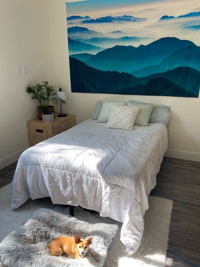 2B/2B In the Heart of North Hollywood Main Photo