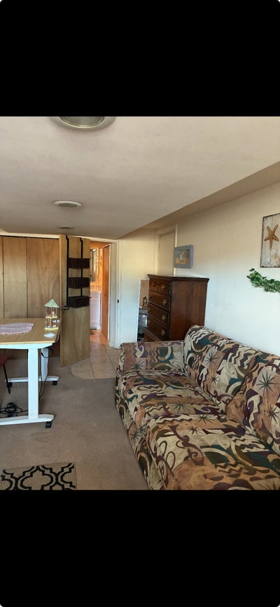 Finished basement and shared kitchen for Rent Main Photo