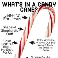 Room wanted in Fort Lauderdale Main Photo