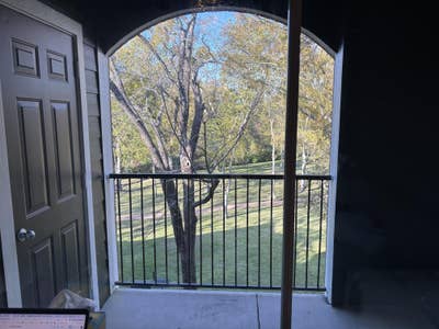 New 1 Bed Apt Coles Crossing Take Over My Lease Main Photo