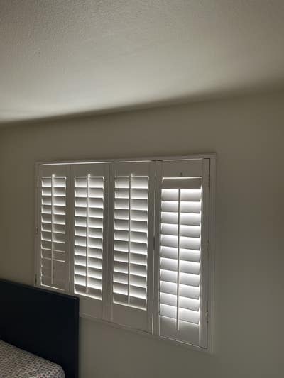 Bolsa and magnolia. Walking to ABC market  Main Photo