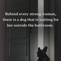 Room wanted in Fort Worth, TX Main Photo