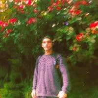 Room wanted in Miami Main Photo