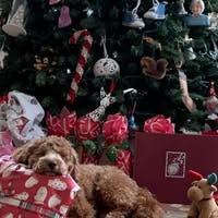 Room wanted in Los Angeles Main Photo