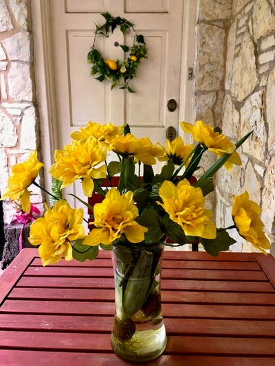 Cozy, Some Bills Paid in East Dallas near lake Main Photo