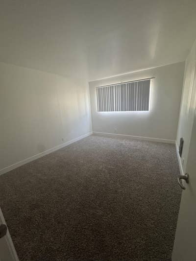 Roommate Needed Main Photo