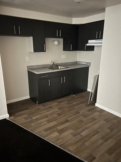 Beautiful 1 BR near Marquette  Main Photo