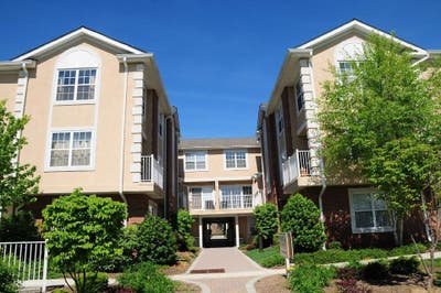 Easy-going roommate wanted! Main Photo