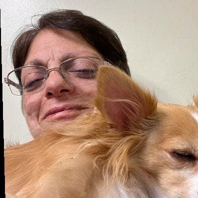 Room wanted in Milford, CT Main Photo