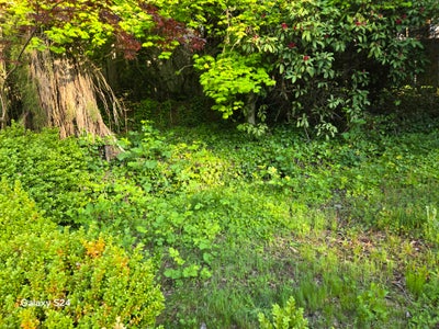 Spacious, home with many amenities. Main Photo