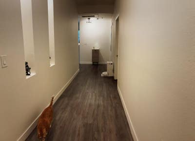 Private Suite in Hollywood – Steps from Everythin! Main Photo