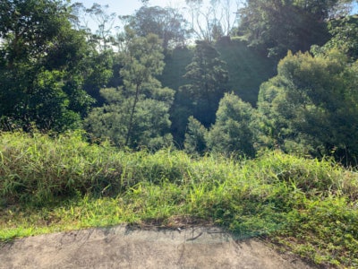 Lumahai Place 1 BR downstairs apartment Main Photo