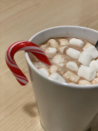 Room wanted in Brooklyn Heights, Brooklyn, NY Main Photo