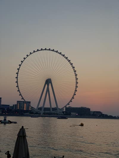 Room wanted in New Jersey Main Photo