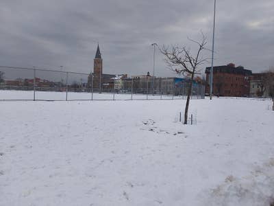 Room wanted in Mecer County, NJ Main Photo