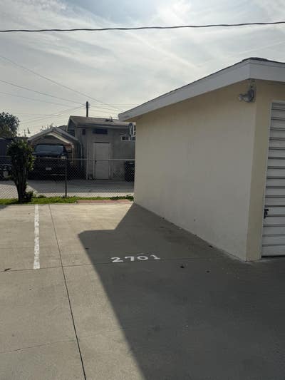 Tidy female with career or going to university  Main Photo